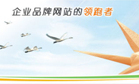 長(zhǎng)沙網(wǎng)站建設(shè)網(wǎng)站設(shè)計(jì)成功要素之一