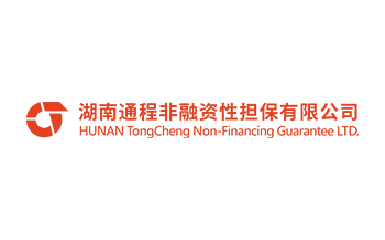湖南通程非融資性擔保有限公司
