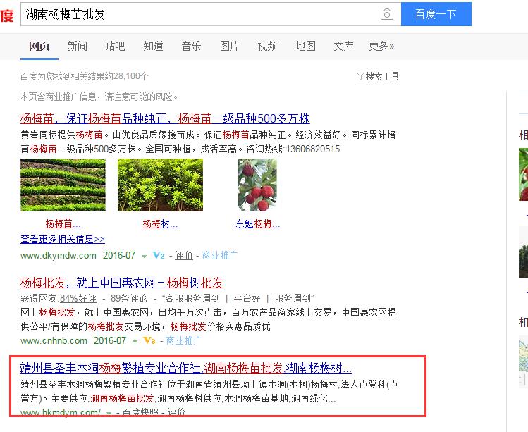這樣做seo，靖州楊梅網(wǎng)站排名有盼頭