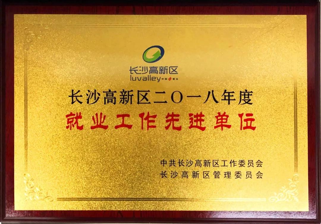 競網(wǎng)獲長沙高新區(qū)2018年度“就業(yè)工作先進(jìn)單位”稱號！
