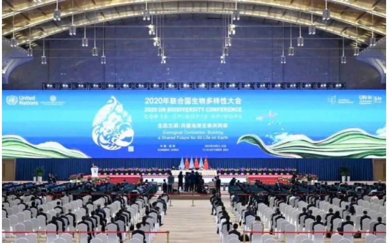 2021年中國OLED行業(yè)市場前景及投資研究報告（簡版）